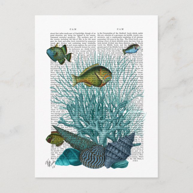 Carte Postale Poissons, coquillages bleus et coraux (Devant)