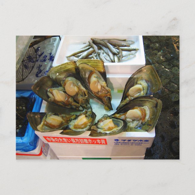 Carte Postale Poissons de moules géantes Tsukiji, Tokyo, Japon (Devant)