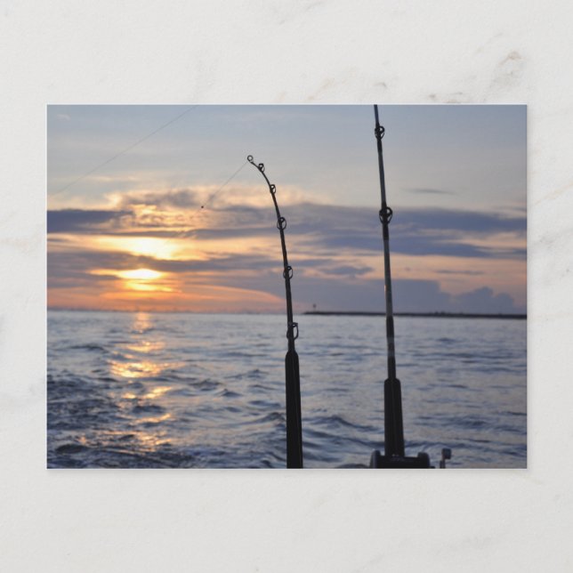 Carte Postale Poissons dessus ! (Devant)