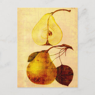 Carte Postale Poitrine en cuivre