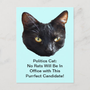 Carte Postale Politique Chat Aucun Rats Ne Sera En Fonction