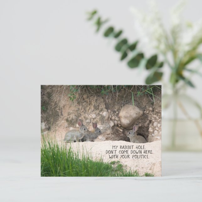 Carte Postale Politique Rabbit Hole Bunny Photo Politique Humour (Debout devant)