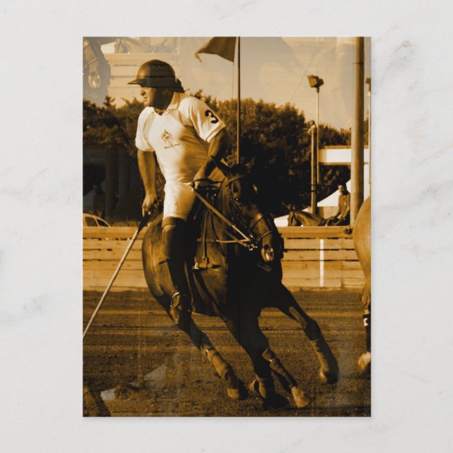 Carte postale Polo (Devant)