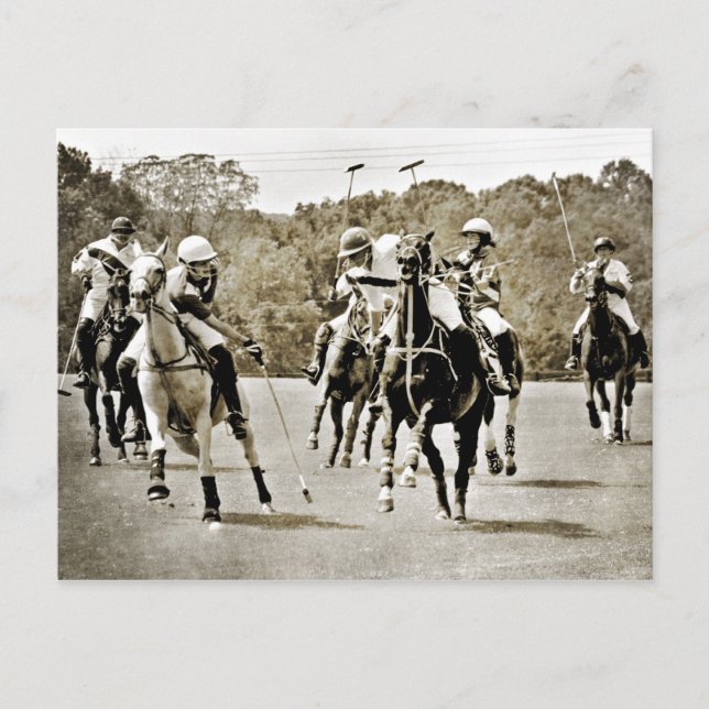Carte Postale Polo Horses Galloping (Devant)