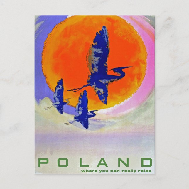 Carte Postale Pologne (Devant)