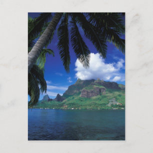 Carte Postale Polynésie française, Moorea. Baie de Cooks. Vert