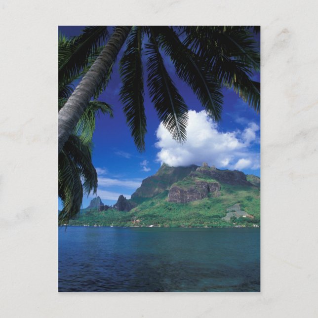 Carte Postale Polynésie française, Moorea. Cooks Bay. Green (Devant)