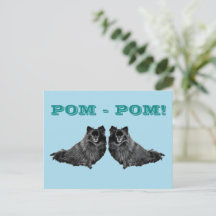 POM-POM 