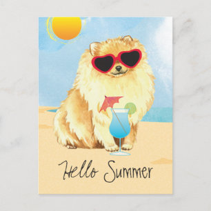 Carte Postale Pomeranian d'été
