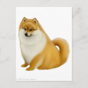 Carte postale Poméranie