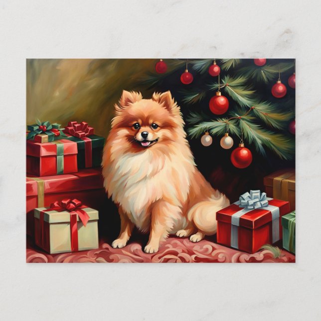 Carte Postale Poméranie assis près du sapin de Noël (Devant)