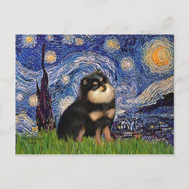 Carte Postale Poméranie (BT) - Nuit étoilée (Devant)