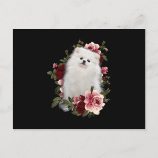 Carte Postale Poméranien avec fleur