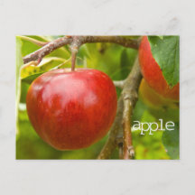 Carte postale "pomme" de Proverbes 7:2
