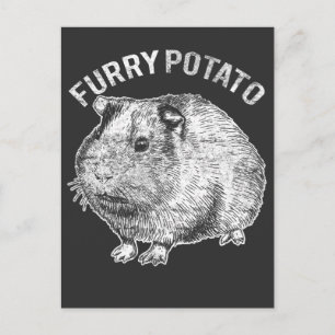 Carte Postale Pomme de terre fourrure animal de compagnie Guinée