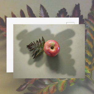 Carte Postale Pomme rouge sur la photo verte