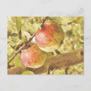 CARTE POSTALE POMMES