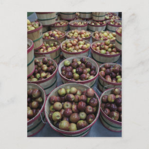 Carte Postale Pommes automnales