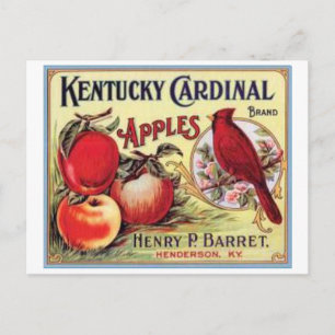 Carte Postale Pommes cardinales vintages du Kentucky, Henry P Ba