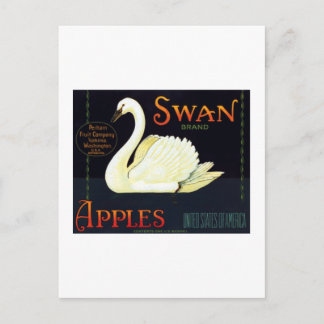 Carte Postale Pommes de cygne