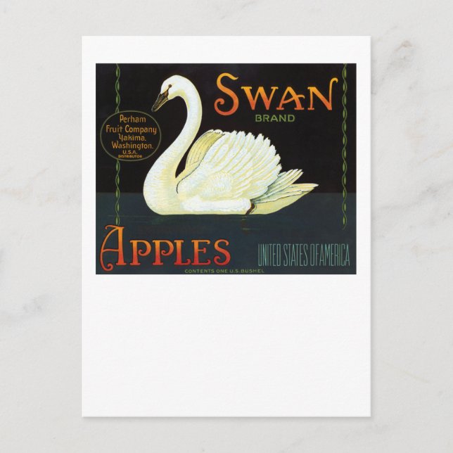 Carte Postale Pommes de marque de cygne (Devant)