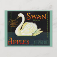 Pommes de marque Swan Washington State Crate Étiqu
