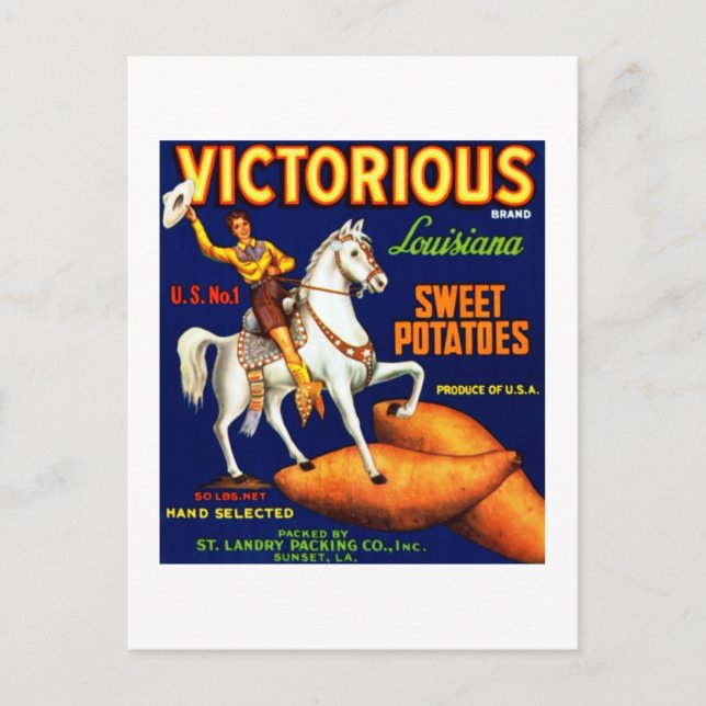 Carte Postale Pommes de terre sucrées victorieuses (Devant)