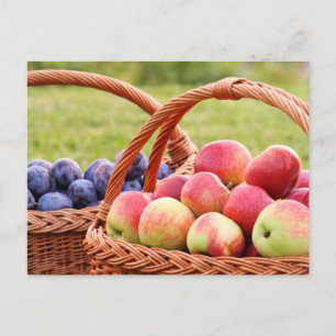Carte postale Pommes et prunes