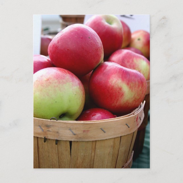 Carte Postale Pommes fraîches dans un panier au marché des agric (Devant)