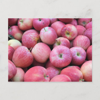 Carte Postale Pommes Fraîches Du Verger