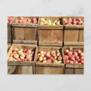 Carte Postale Pommes Macintosh Par Le Crate