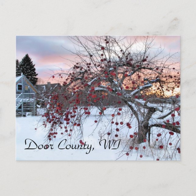 Carte Postale Pommier (Devant)