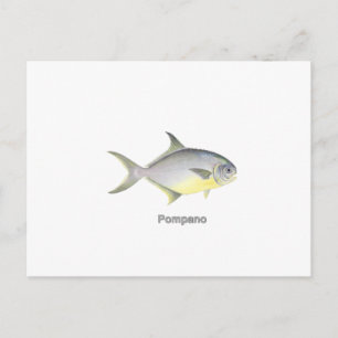 Carte Postale Pompano (intitulé)