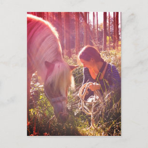 Carte Postale Poney dans les bois