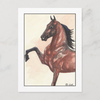 Carte Postale Poney de baudrier de baie 1