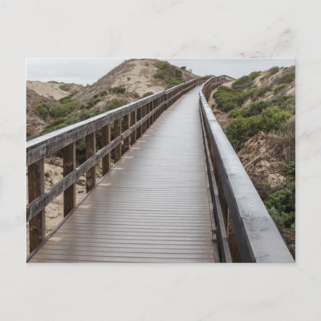 Carte Postale Pont à pied au parc d'état d'Oso Flaco Lake (Devant)