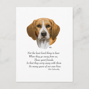 Carte Postale Pont arc-en-ciel beagle