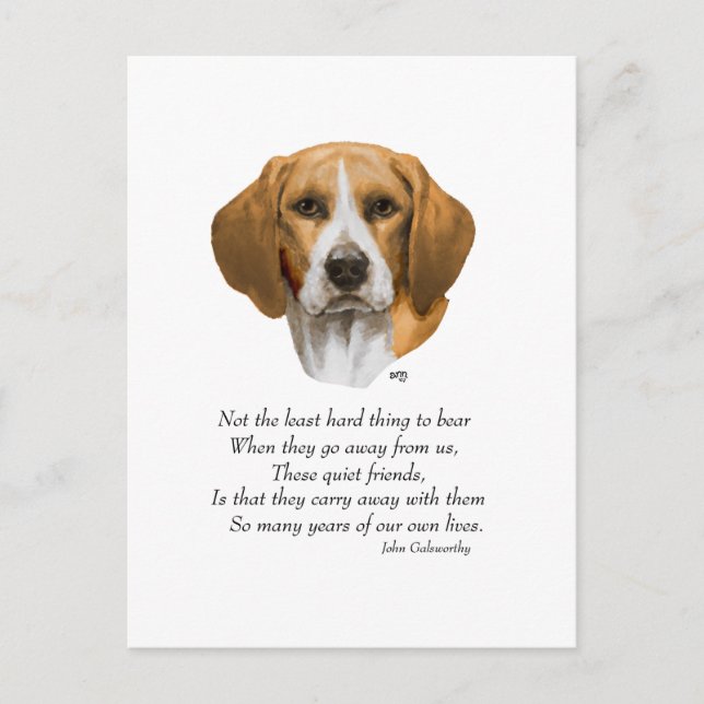 Carte Postale Pont arc-en-ciel beagle (Devant)