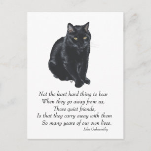 Carte Postale Pont arc-en-ciel de chat noir