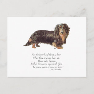 Carte Postale Pont arc-en-ciel de Dachshund
