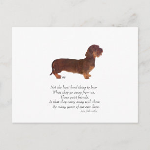 Carte Postale Pont arc-en-ciel des Dachshunds