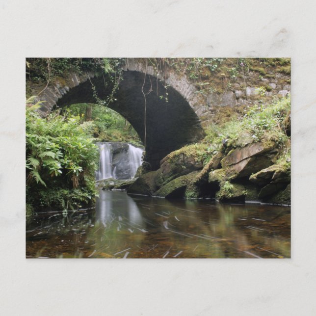 Carte Postale Pont au-dessus de la cascade Torc (Devant)