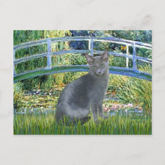 Carte Postale Pont - Chat bleu russe 2