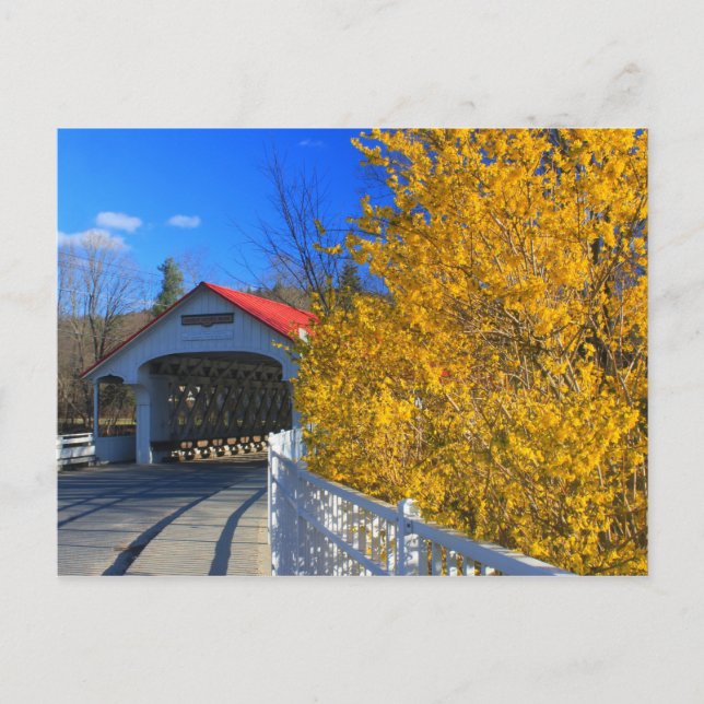 Carte Postale Pont couvert d'Ashuelot Forsythia (Devant)