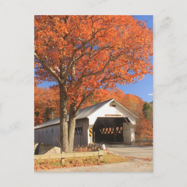 Carte Postale Pont couvert de West River et Oak Vermont (Devant)