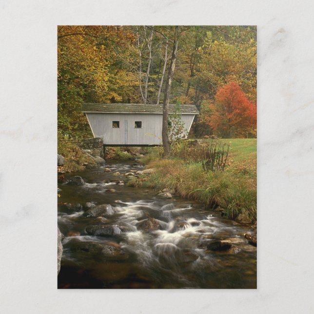 Carte Postale Pont couvert Foliage Kent Falls State Park (Devant)