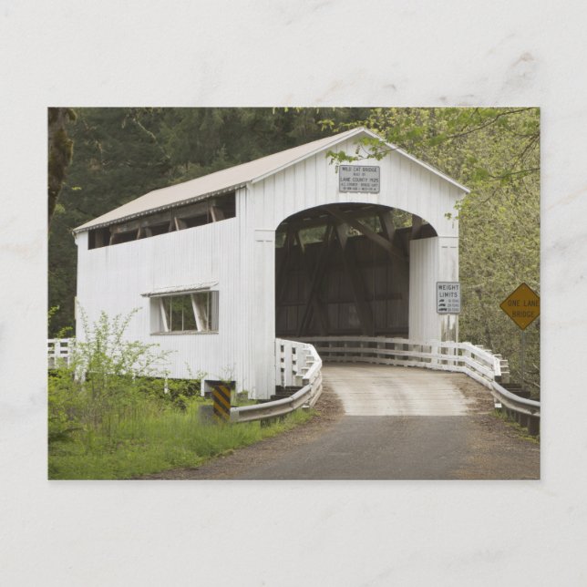 Carte Postale Pont couvert Wild Cat, comté de Lane, Oregon (Devant)