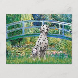 Carte Postale Pont - Dalmatien
