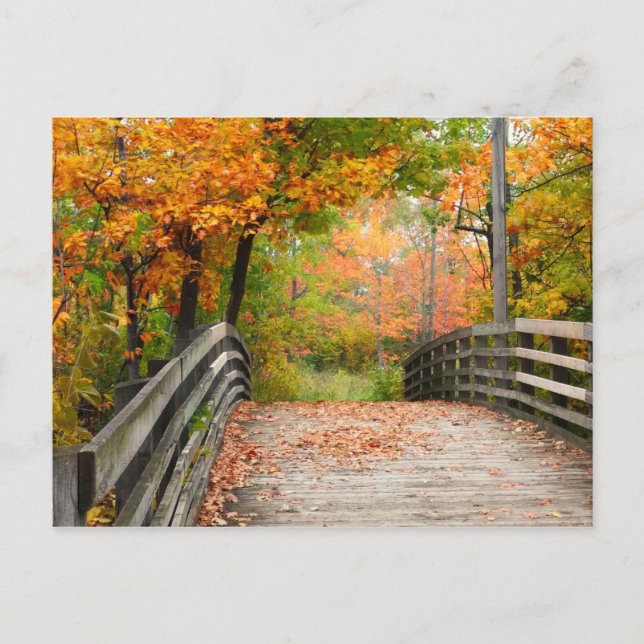 Carte Postale Pont d'automne (Devant)