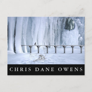 CARTE POSTALE PONT DE GLACE -CDO